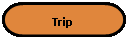 ���� �������: ���� �����: Trip